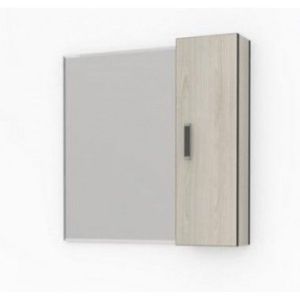 Зеркало-шкаф «САНТАНА- 62» универсальный