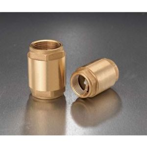 Обратный клапан 3/4" (пласт.сердц.)  SMS 34