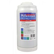 Картридж ВВ20« для фильтра с гранулированным углем  »Millennium